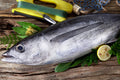 Bonito Fresco Entero
