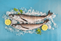 Pescada Entera Fresca